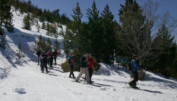 Durante o passeio com raquetes de neve